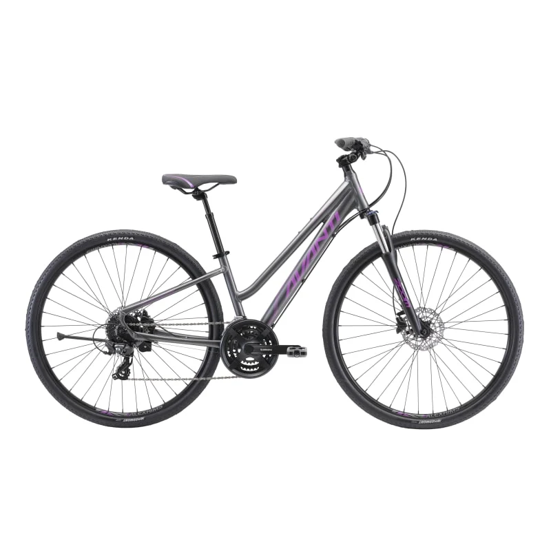 Avanti Discovery 2 Low - Titanium